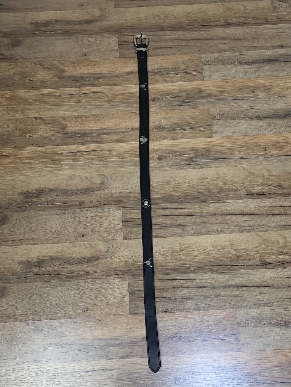 MONTANA SILVERSMITHS Black Leatger Silver Concho Wester Belt. Size 31.5"